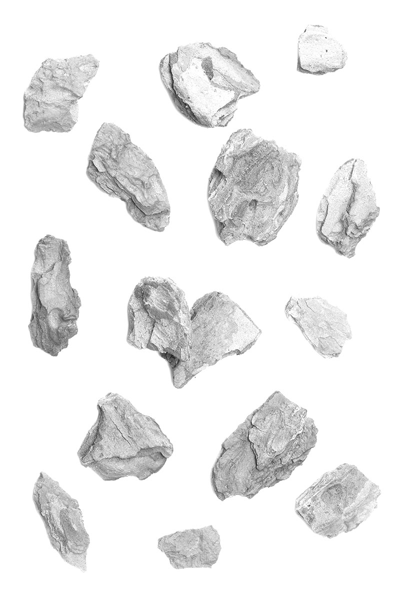 light gray image of several pieces of mulch with space between them against a white background