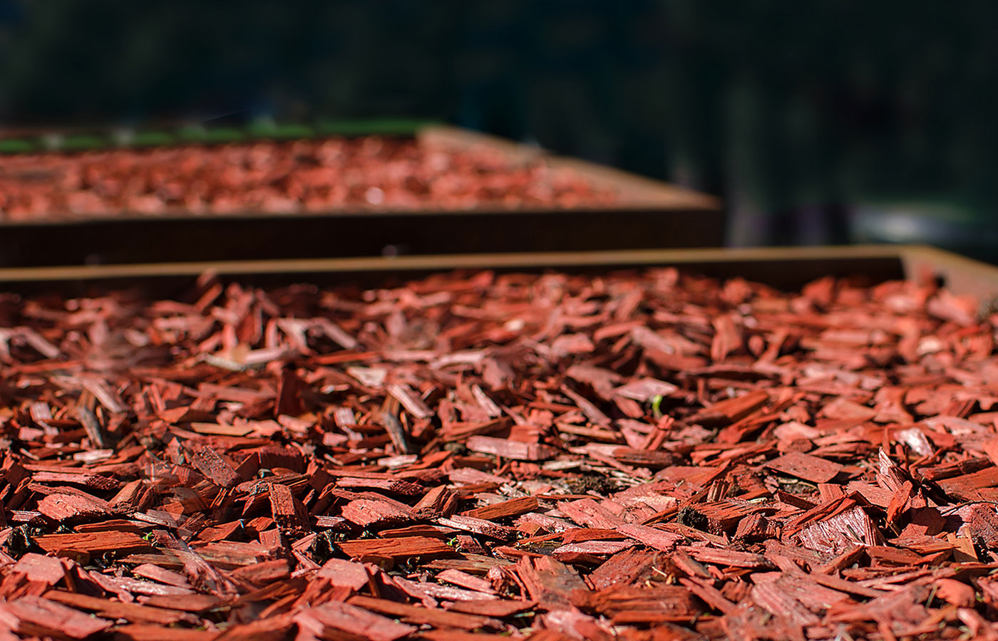 red mulch